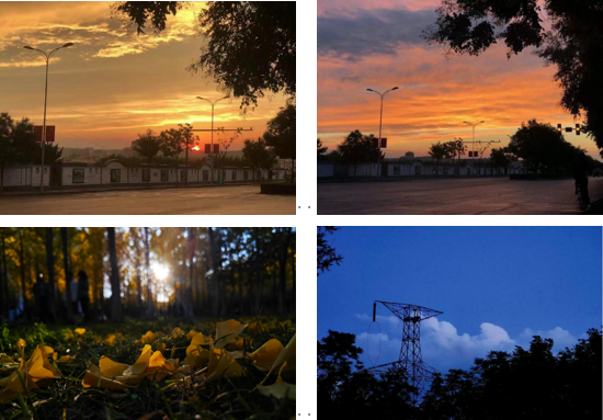 定格时光，捕捉校园春景——gg999策略手机白菜成功举办校园摄影大赛